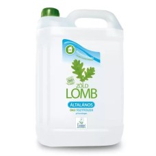 Ablaktisztító 5 liter ÖKO Zöldlomb