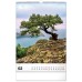 Falinaptár képes 330×460mm Trees Realsystem 2027. Falinaptár képes 330×460mm Trees Realsystem 2027.