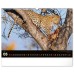 Falinaptár képes 480x330mm Wild Africa Realsystem 2027. Falinaptár képes 480x330mm Wild Africa Realsystem 2027.