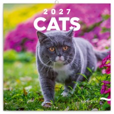 Falinaptár képes lemeznaptár 300x300mm, Cats Realsystem 2027. Falinaptár képes lemeznaptár 300x300mm, Cats Realsystem 2027.