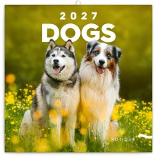 Falinaptár képes lemeznaptár 300x300mm, Dogs Realsystem 2027. Falinaptár képes lemeznaptár 300x300mm, Dogs Realsystem 2027.