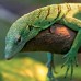 Falinaptár képes lemeznaptár 300x300mm, Lizards Realsystem 2027. Falinaptár képes lemeznaptár 300x300mm, Lizards Realsystem 2027.