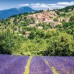 Falinaptár képes lemeznaptár 300x300mm, Provence Realsystem 2027. Falinaptár képes lemeznaptár 300x300mm, Provence Realsystem 2027.