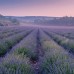 Falinaptár képes lemeznaptár 300x300mm, Provence Realsystem 2027. Falinaptár képes lemeznaptár 300x300mm, Provence Realsystem 2027.