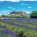 Falinaptár képes lemeznaptár 300x300mm, Provence Realsystem 2027. Falinaptár képes lemeznaptár 300x300mm, Provence Realsystem 2027.