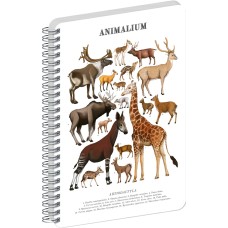 Jegyzetfüzet ikerspirálos Animalium – Artiodactyls, sima, 14,8x21cm A5, Presco Jegyzetfüzet ikerspirálos Animalium – Artiodactyls, sima, 14,8x21cm A5, Presco