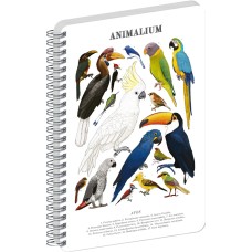 Jegyzetfüzet ikerspirálos Animalium – Birds, sima, 14,8x21cm A5, Presco Jegyzetfüzet ikerspirálos Animalium – Birds, sima, 14,8x21cm A5, Presco