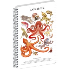 Jegyzetfüzet ikerspirálos Animalium – Cephalopods, vonalas, 14,8x21cm A5, Presco Jegyzetfüzet ikerspirálos Animalium – Cephalopods, vonalas, 14,8x21cm A5, Presco