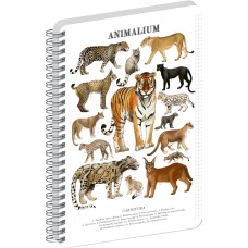 Jegyzetfüzet ikerspirálos Animalium – Felines, négyzethálós, 14,8x21cm A5, Presco Jegyzetfüzet ikerspirálos Animalium – Felines, négyzethálós, 14,8x21cm A5, Presco