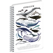Jegyzetfüzet ikerspirálos Animalium – Marine Life, vonalas, 21x29,7cm A4, Presco Jegyzetfüzet ikerspirálos Animalium – Marine Life, vonalas, 21x29,7cm A4, Presco