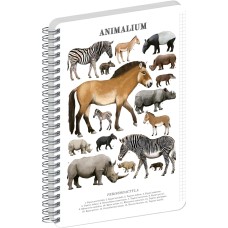 Jegyzetfüzet ikerspirálos Animalium – Perissodactyls, négyzethálós, 14,8x21cm A5, Presco Jegyzetfüzet ikerspirálos Animalium – Perissodactyls, négyzethálós, 14,8x21cm A5, Presco