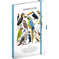 Keménytáblás notesz krémszínű lapokkal, vonalas, leszorító gumiszalaggal Animalium – Birds 130x210mm, Presco Keménytáblás notesz krémszínű lapokkal, vonalas, leszorító gumiszalaggal Animalium – Birds 130x210mm, Presco