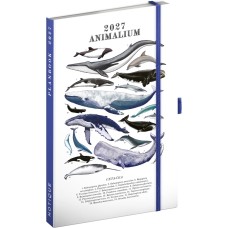 Keménytáblás tervező krémszínű lapokkal, kétheti beosztással, leszorító gumiszalaggal Marine Life 130x210mm, Presco Keménytáblás tervező krémszínű lapokkal, kétheti beosztással, leszorító gumiszalaggal Marine Life 130x210mm, Presco